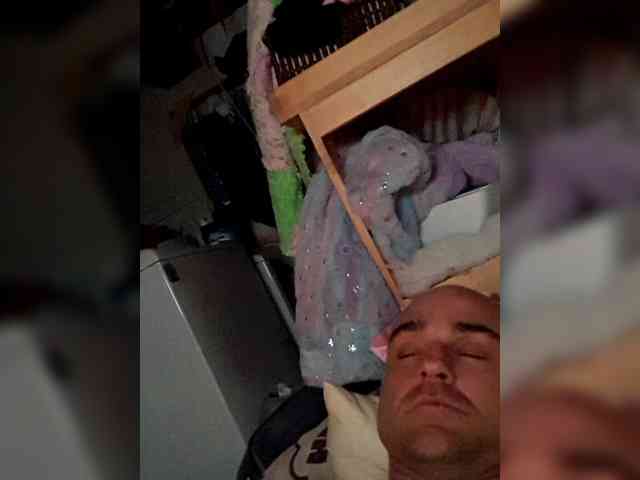 bulbasaurismettv1