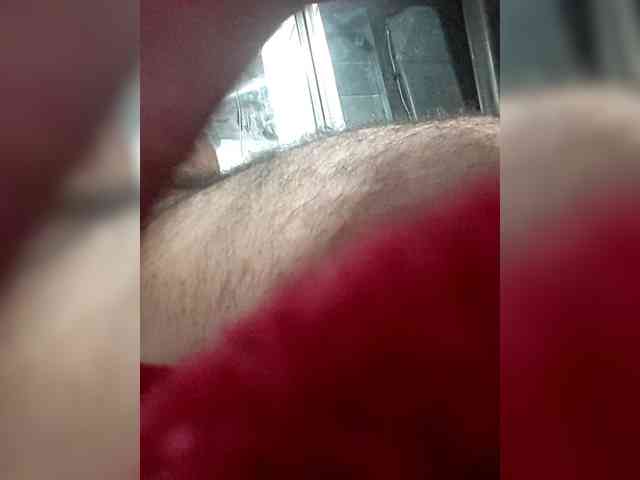 bulbasaurismettv1 bulbasaurismettv1