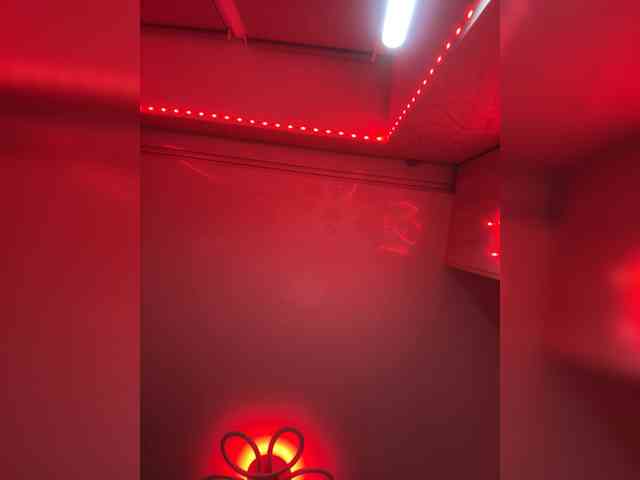 Mishel6661 webcam