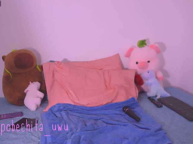 Pobechita live cam on BongaCams