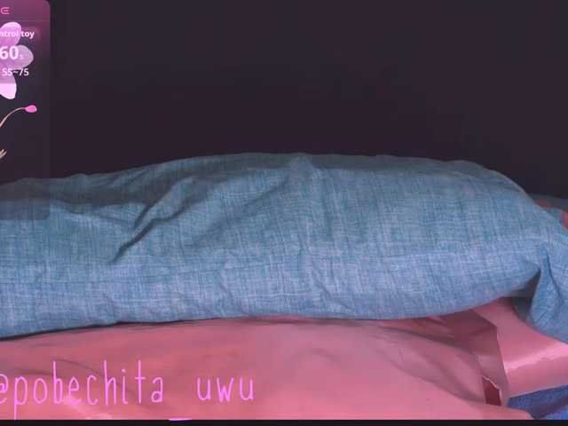 Pobechita live webcam show
