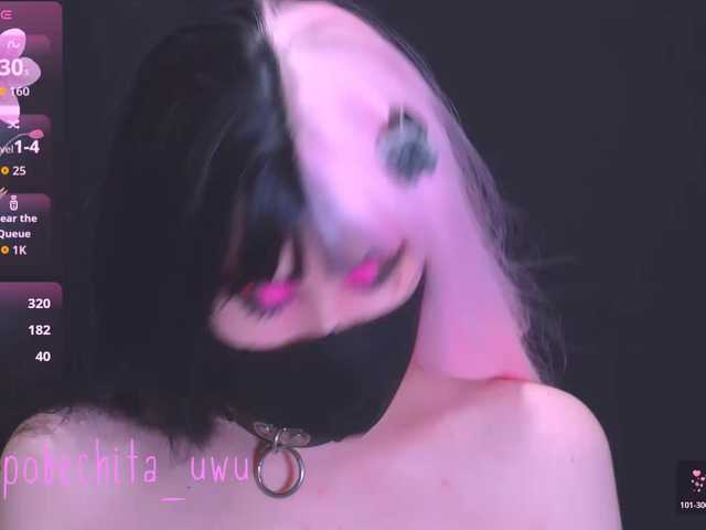 Pobechita