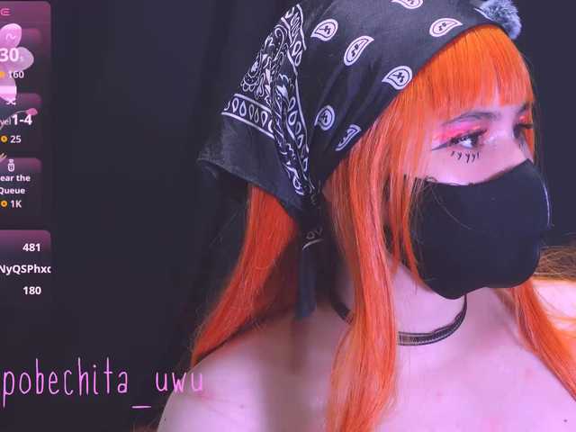 Pobechita preview