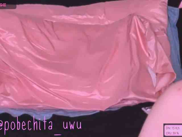 Pobechita webcam