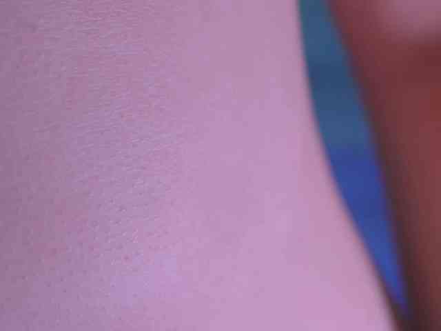 Pobechita webcam