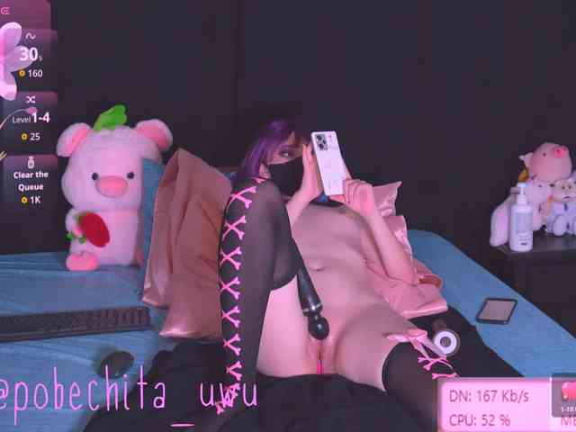 Pobechita webcam