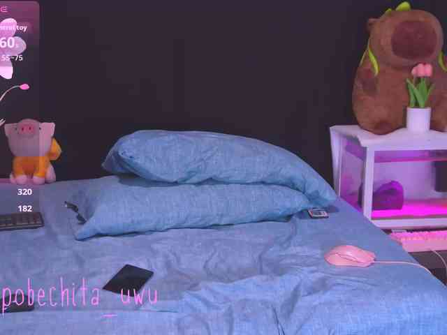Pobechita webcam