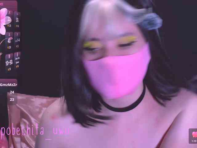 Pobechita webcam