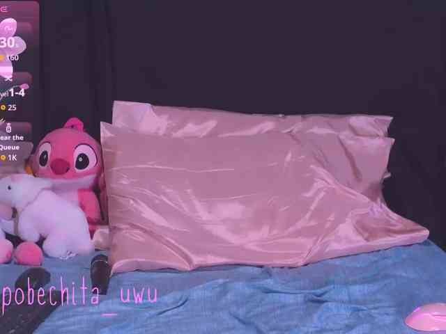 Pobechita webcam