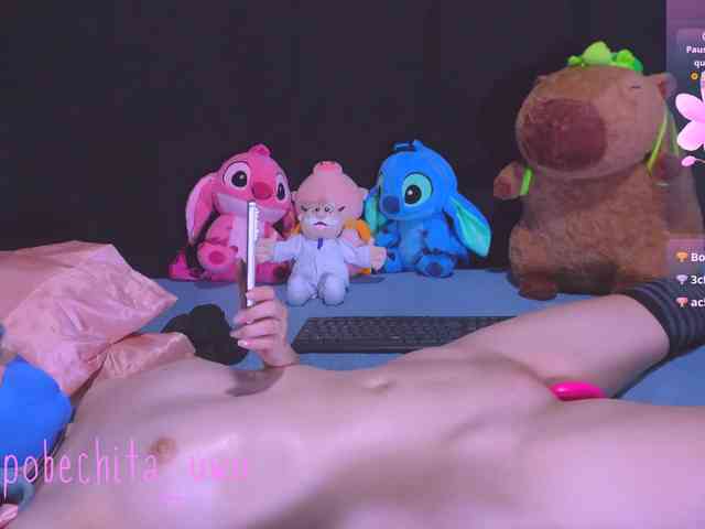 Pobechita webcam