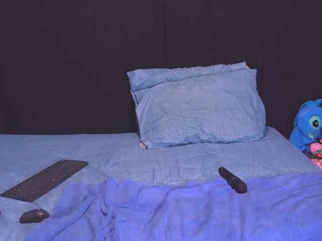 Pobechita webcam