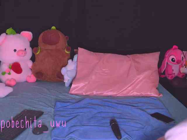 Pobechita webcam