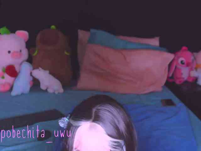Pobechita webcam