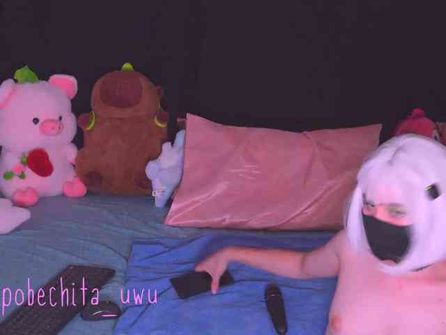 Pobechita webcam