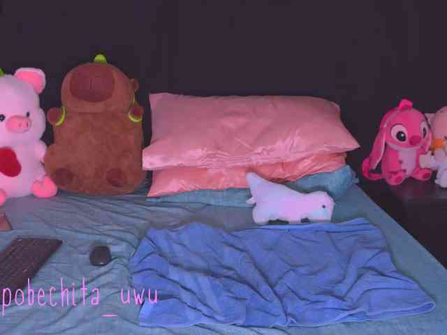 Pobechita webcam