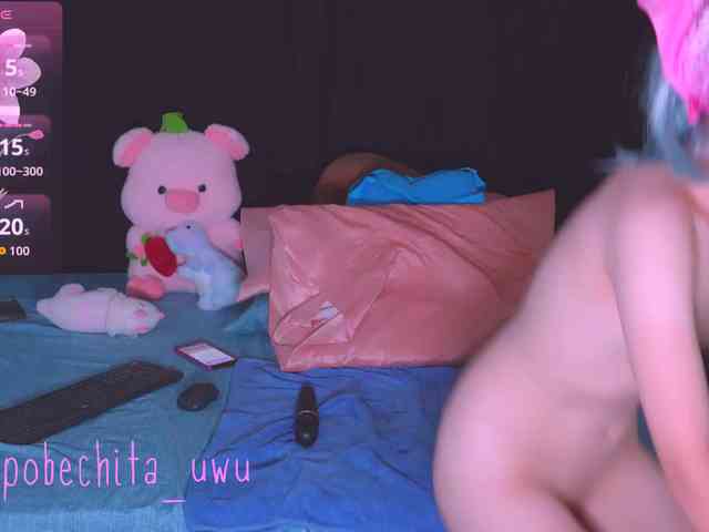 Pobechita webcam