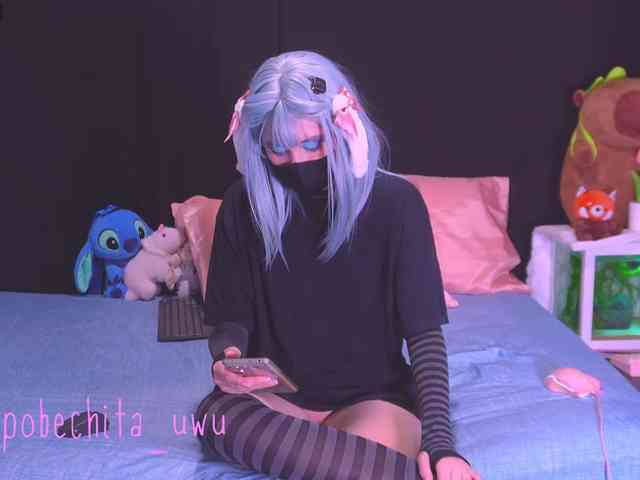 Pobechita webcam