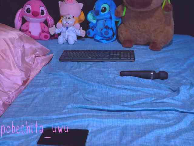 Pobechita webcam