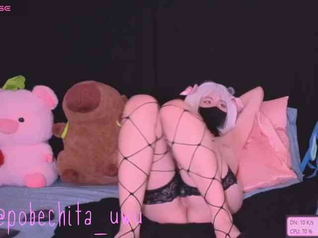Pobechita webcam