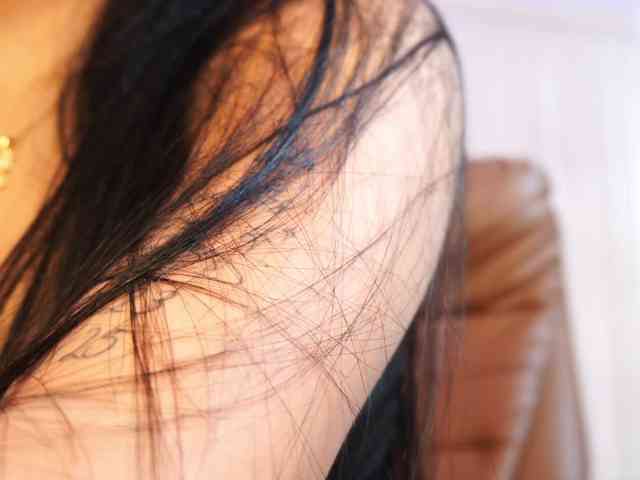 Isabella-Ferrer webcam