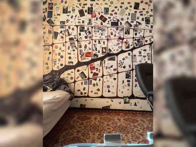 Estetka webcam