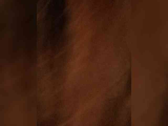 Estetka webcam