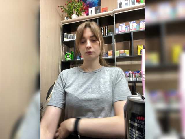 wild-catt online