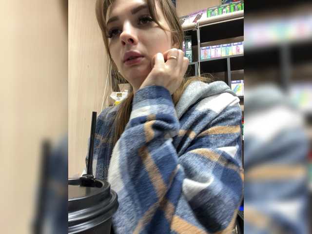 Wild-catt live cam preview
