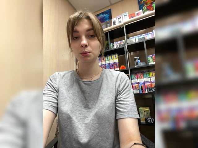 wild-catt online