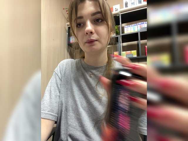 wild-catt online