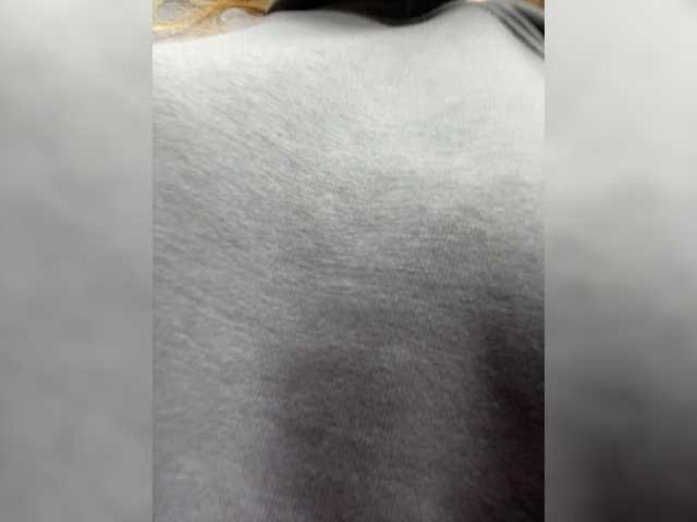 Wild-catt