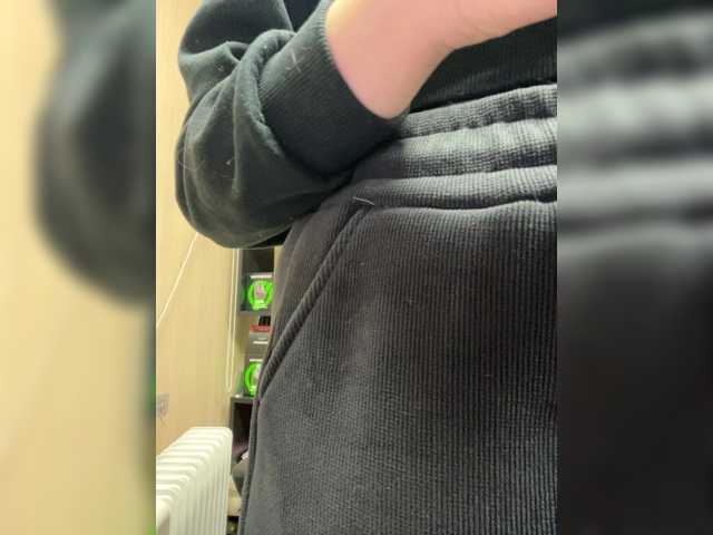 Wild-catt live cam