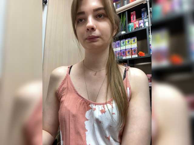 wild-catt online