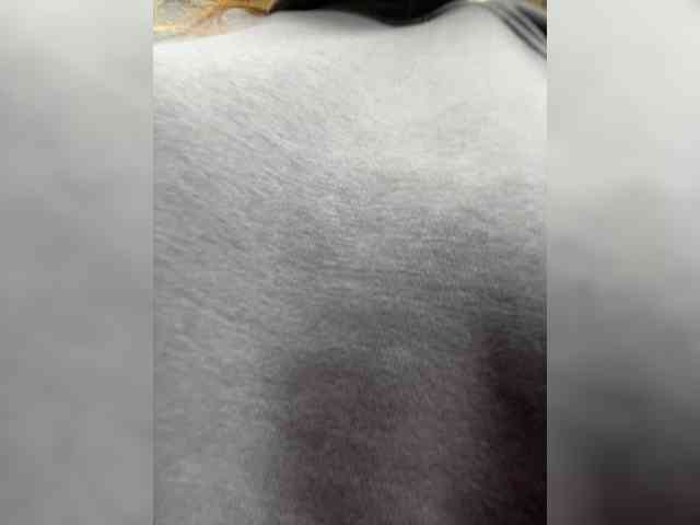 Wild-catt webcam