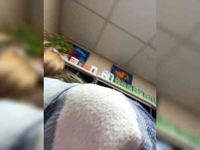 Wild-catt webcam