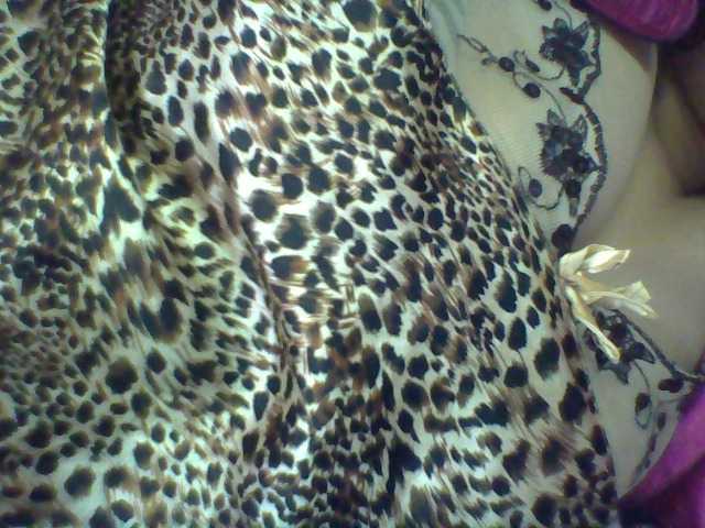 Estellah Live Cam and Statistics on UnifiedCams