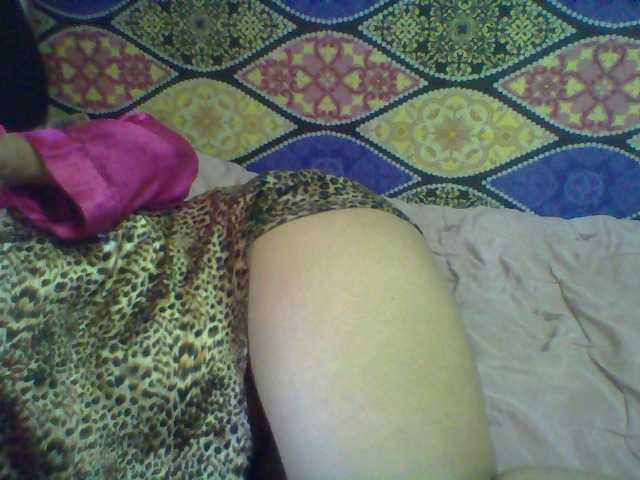 Estellah Live Cam and Statistics on UnifiedCams