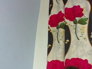 Image capture of Lunah1a