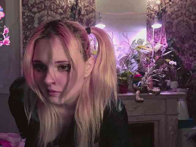 DoubleBubble webcam