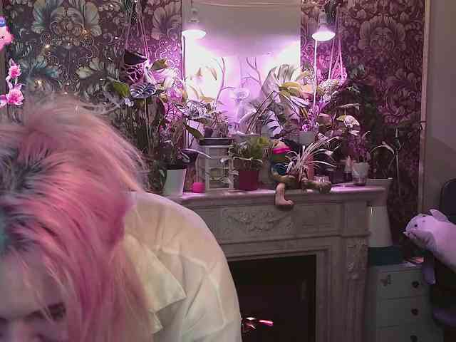 DoubleBubble webcam