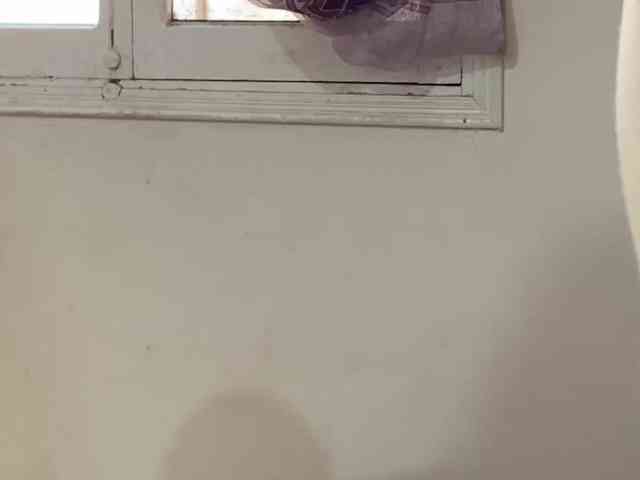 T0CHKA-G webcam