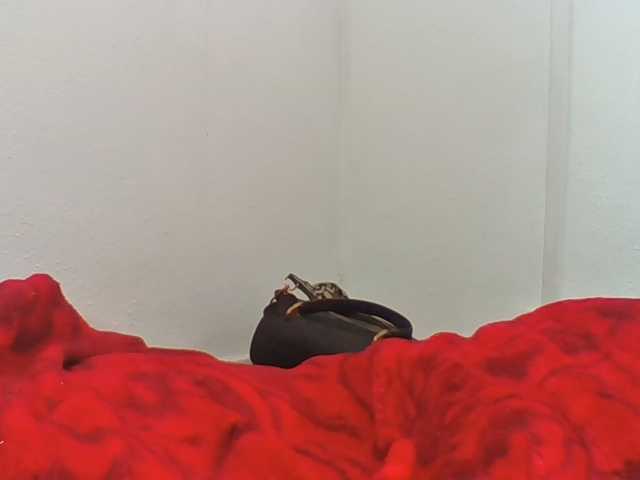 Emelie1a live cam on BongaCams