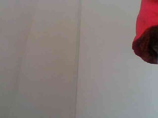 Emelie1a webcam