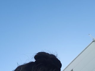 RoxySexy