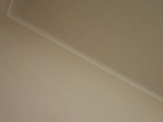 RoxySexy Porn Show
