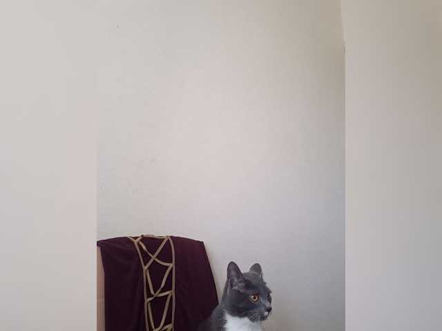 RoxySexy