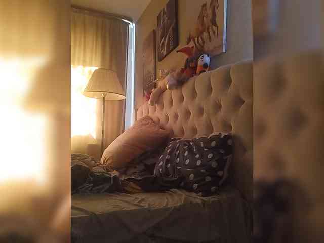 RoxySexy webcam