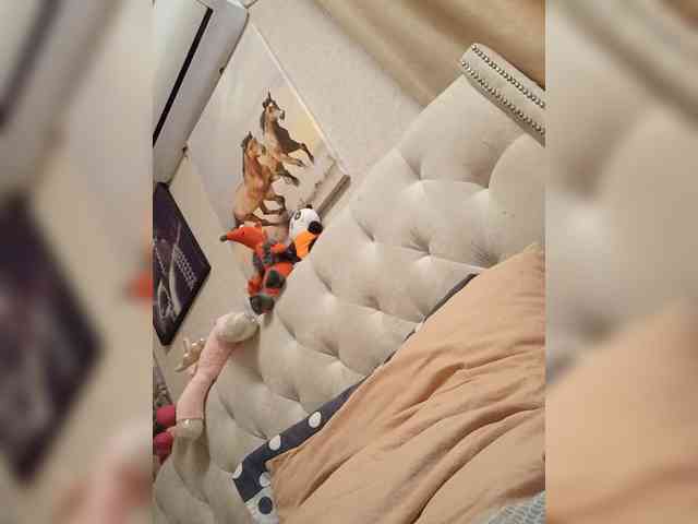RoxySexy webcam
