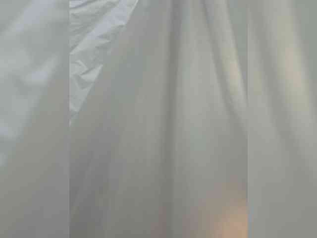 RoxySexy webcam