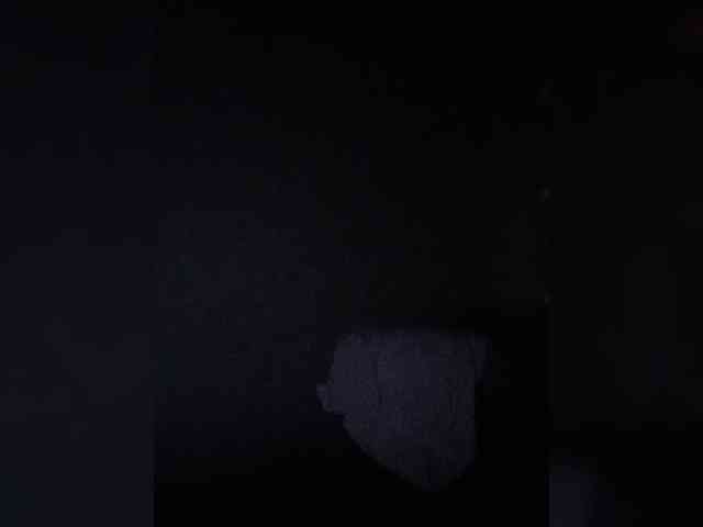 RoxySexy webcam